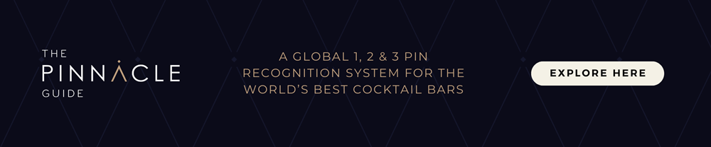 THE PINNACLE GUIDE - WEBSITE