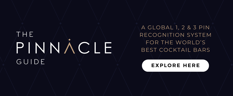 THE PINNACLE GUIDE - WEBSITE
